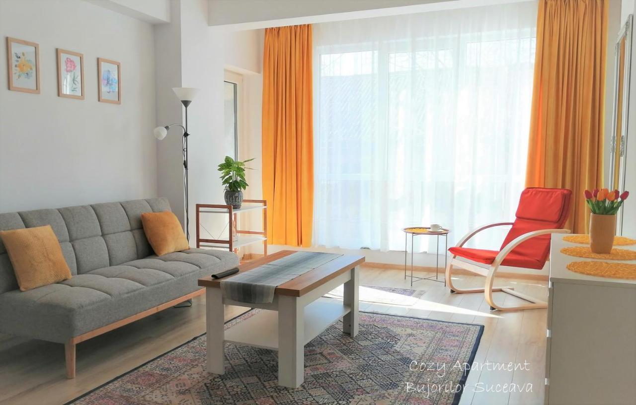 Cozy Apartment Bujorilor Sučava Exteriér fotografie