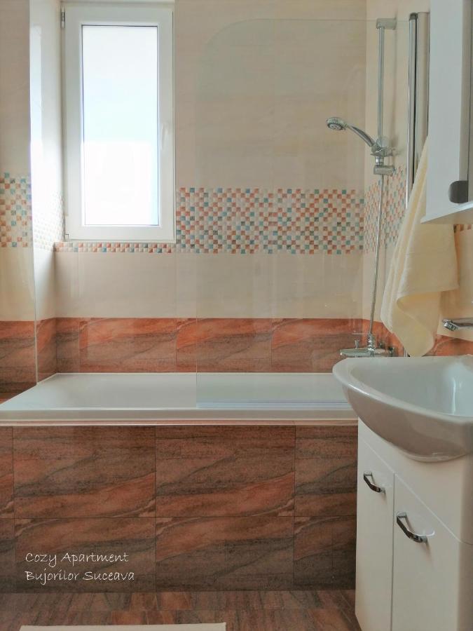Cozy Apartment Bujorilor Sučava Exteriér fotografie