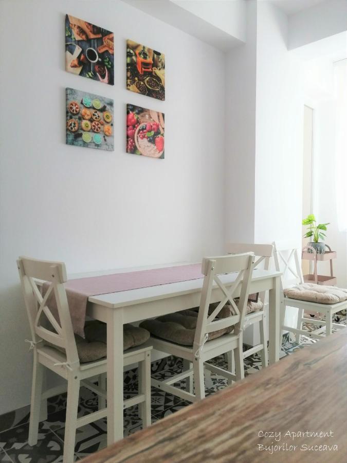 Cozy Apartment Bujorilor Sučava Exteriér fotografie