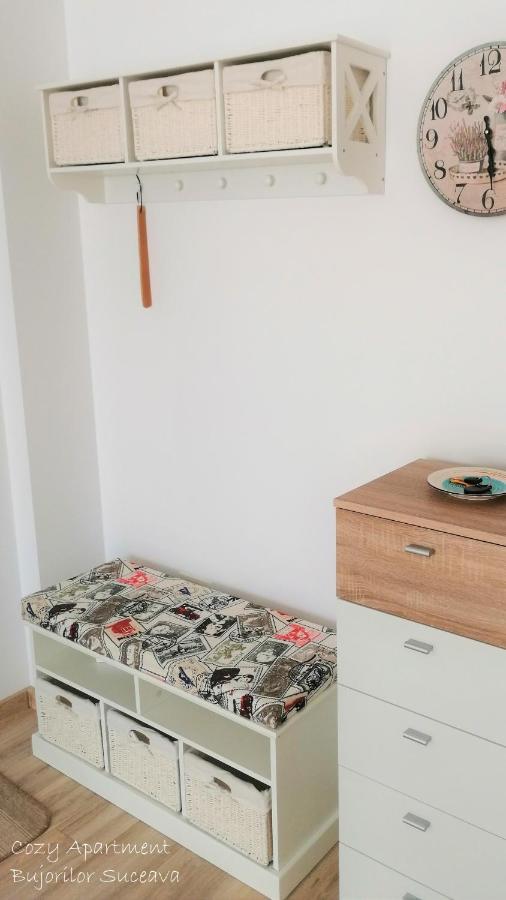 Cozy Apartment Bujorilor Sučava Exteriér fotografie