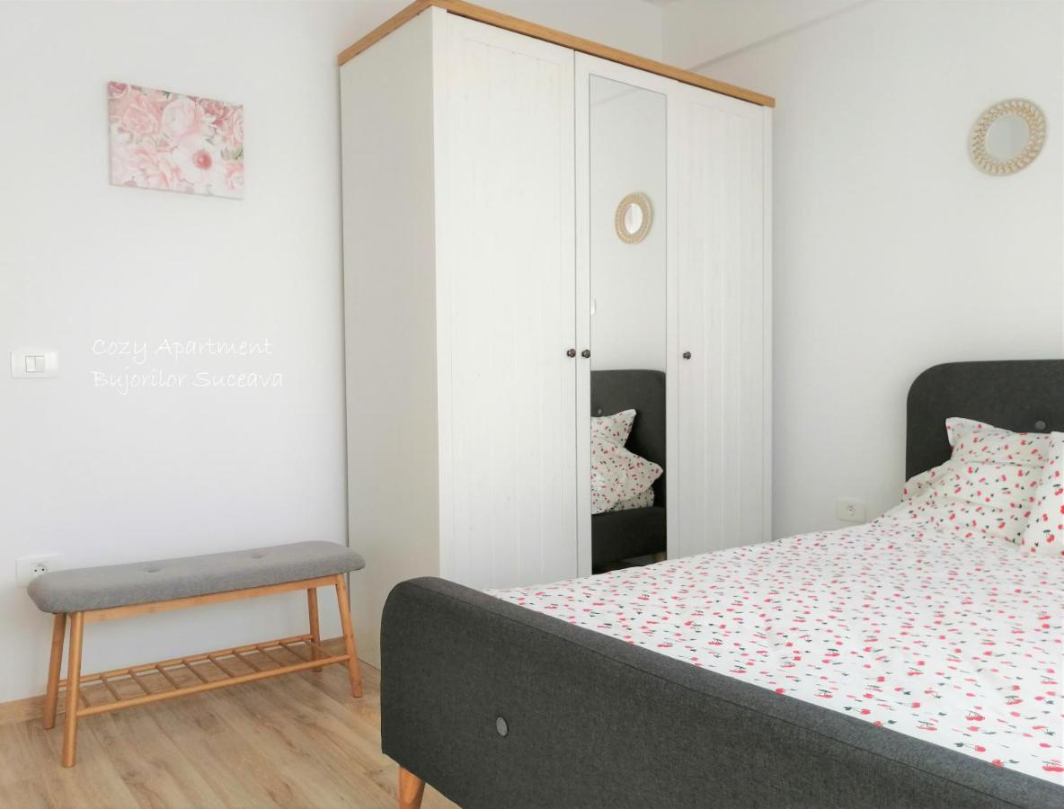 Cozy Apartment Bujorilor Sučava Exteriér fotografie
