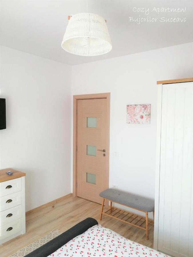 Cozy Apartment Bujorilor Sučava Exteriér fotografie