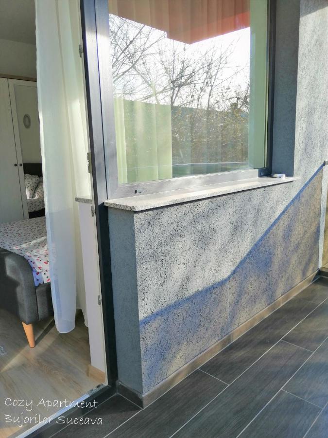 Cozy Apartment Bujorilor Sučava Exteriér fotografie