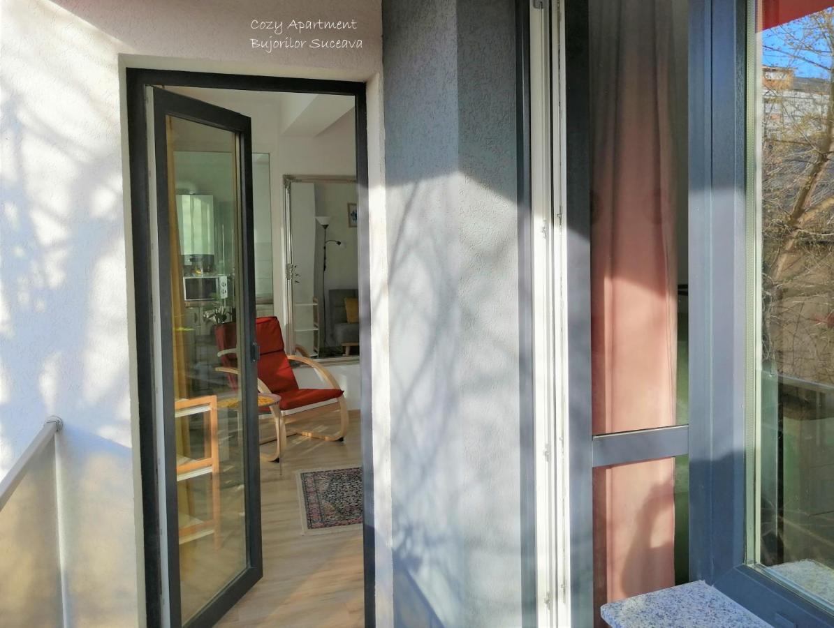 Cozy Apartment Bujorilor Sučava Exteriér fotografie