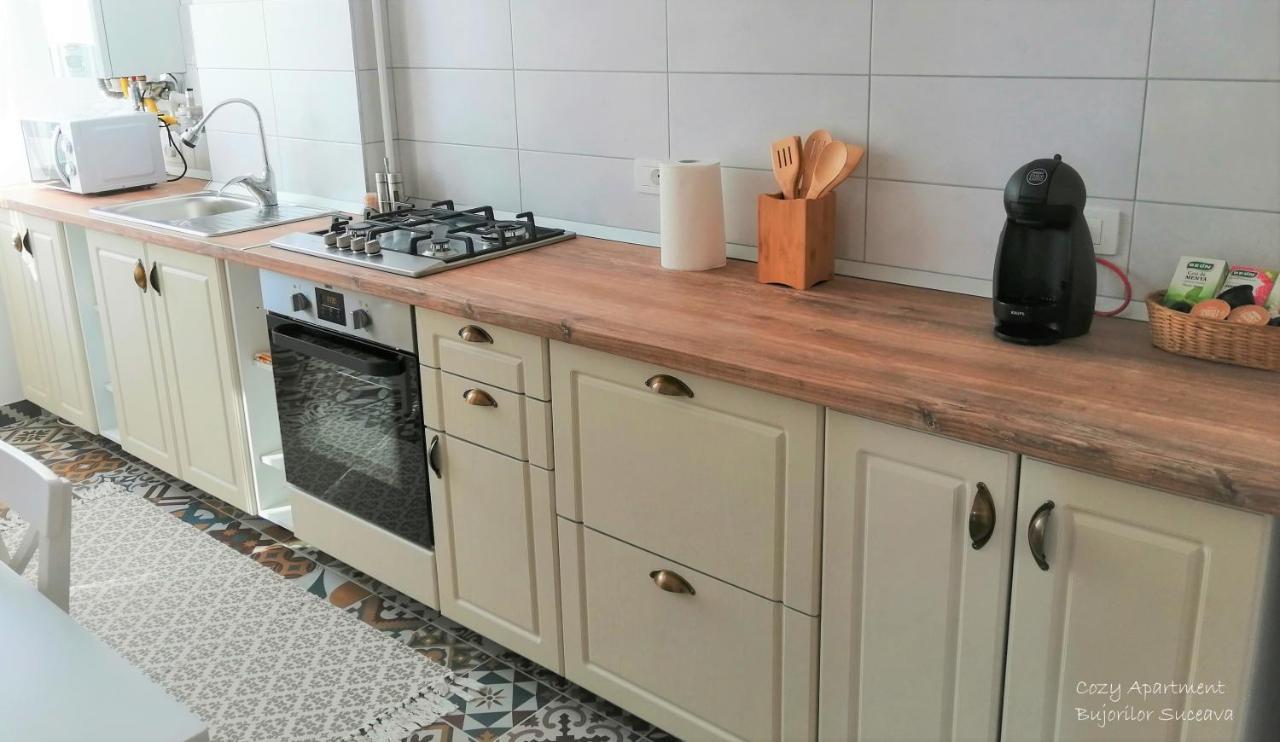 Cozy Apartment Bujorilor Sučava Exteriér fotografie