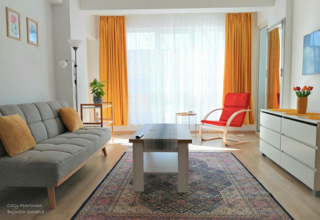 Cozy Apartment Bujorilor Sučava Exteriér fotografie