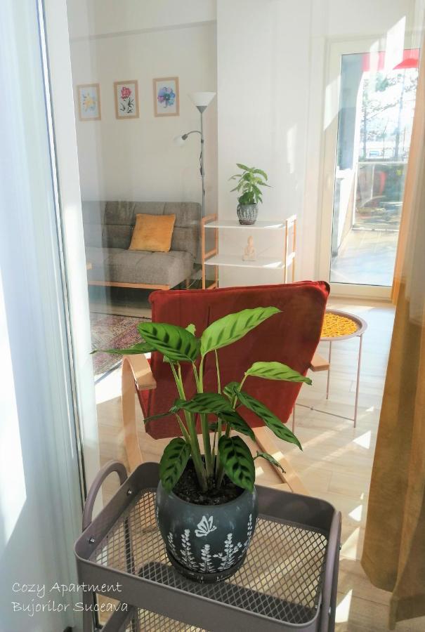 Cozy Apartment Bujorilor Sučava Exteriér fotografie