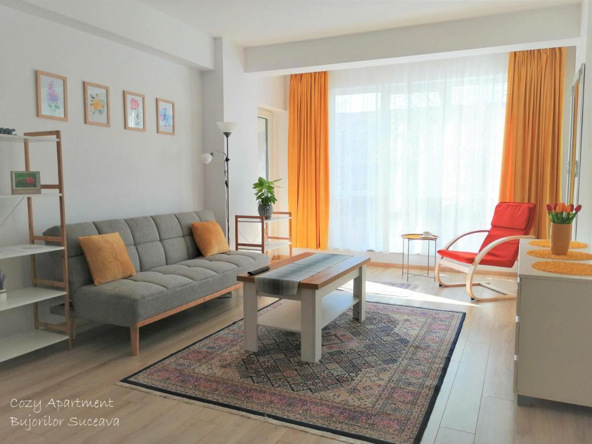 Cozy Apartment Bujorilor Sučava Exteriér fotografie