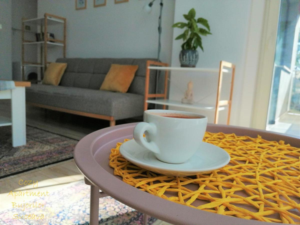 Cozy Apartment Bujorilor Sučava Exteriér fotografie