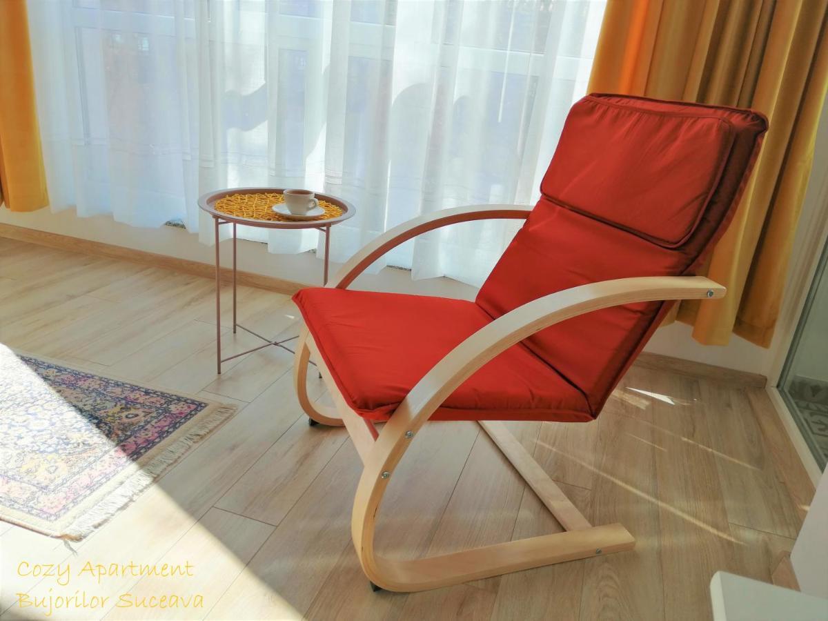 Cozy Apartment Bujorilor Sučava Exteriér fotografie