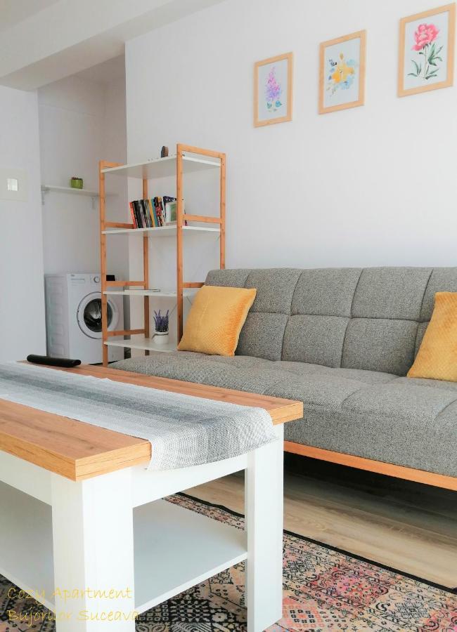 Cozy Apartment Bujorilor Sučava Exteriér fotografie