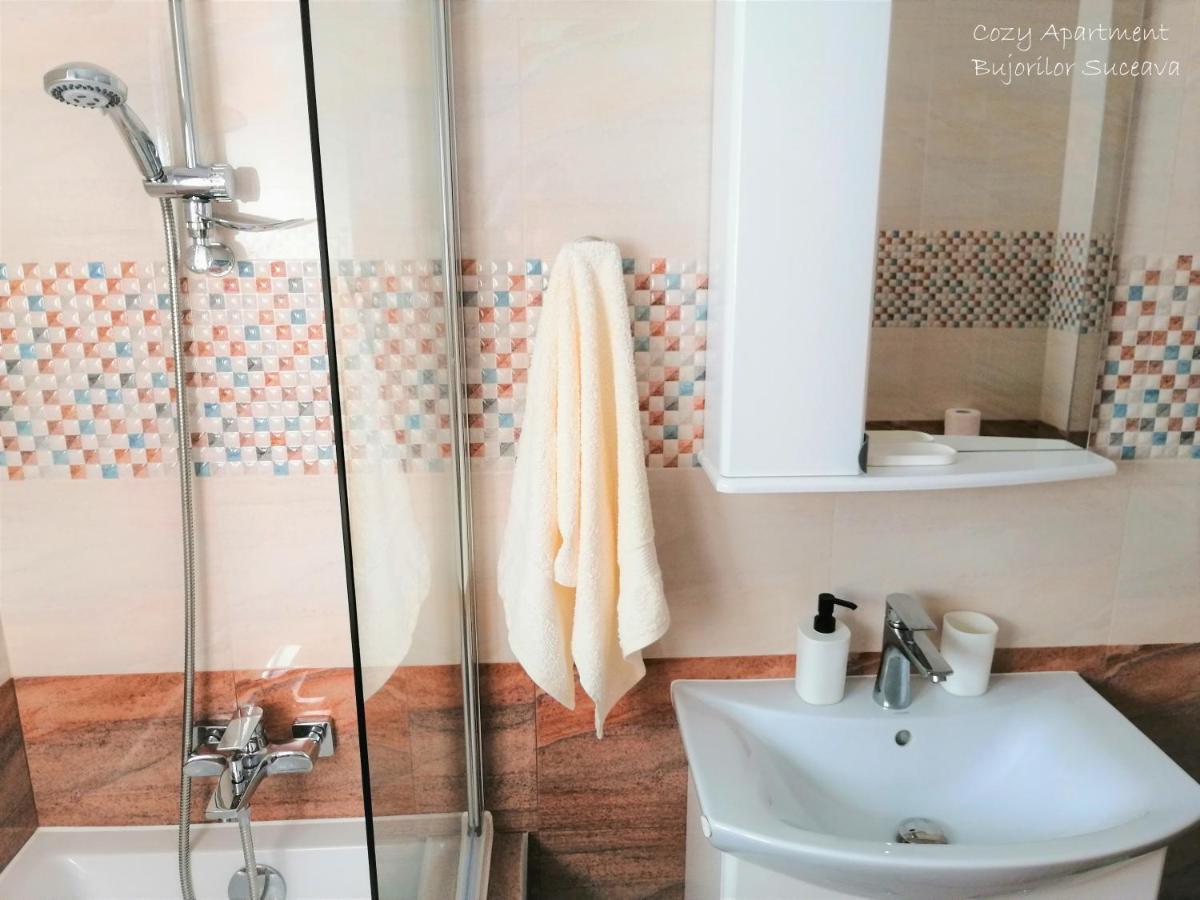 Cozy Apartment Bujorilor Sučava Exteriér fotografie
