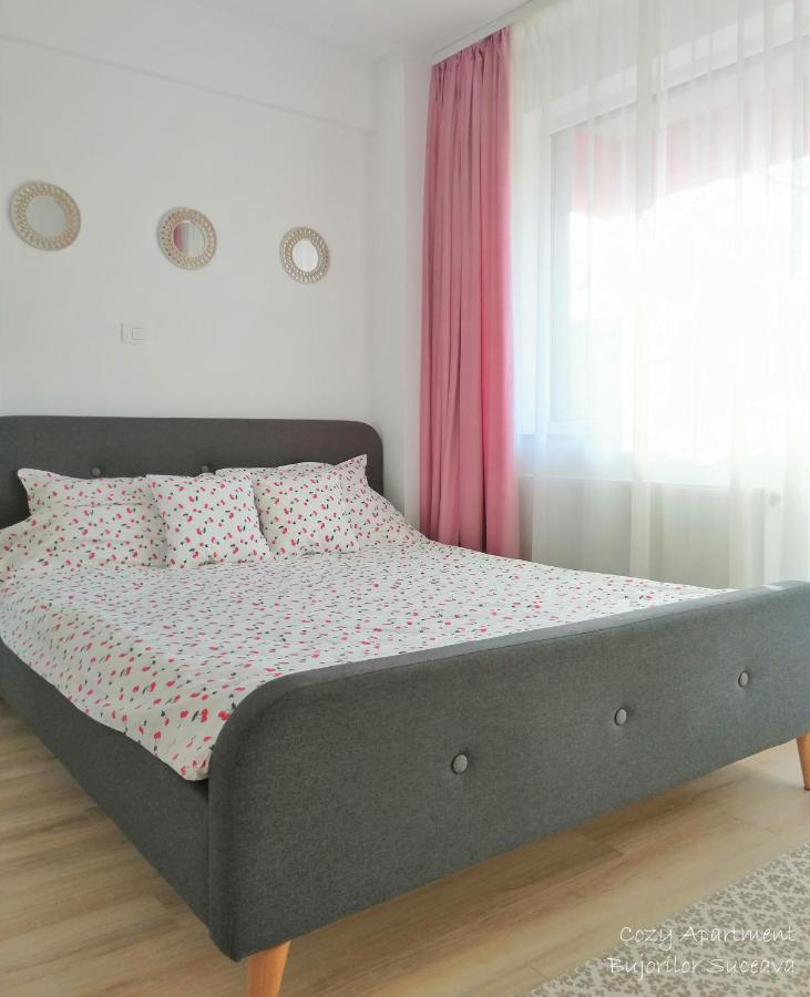 Cozy Apartment Bujorilor Sučava Exteriér fotografie
