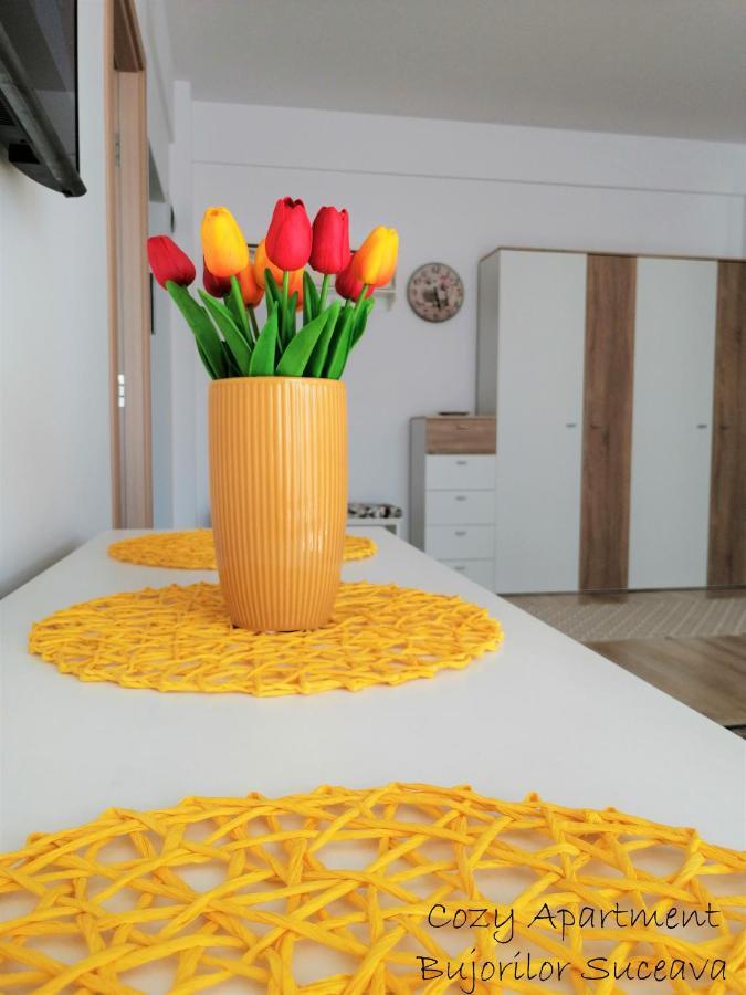 Cozy Apartment Bujorilor Sučava Exteriér fotografie