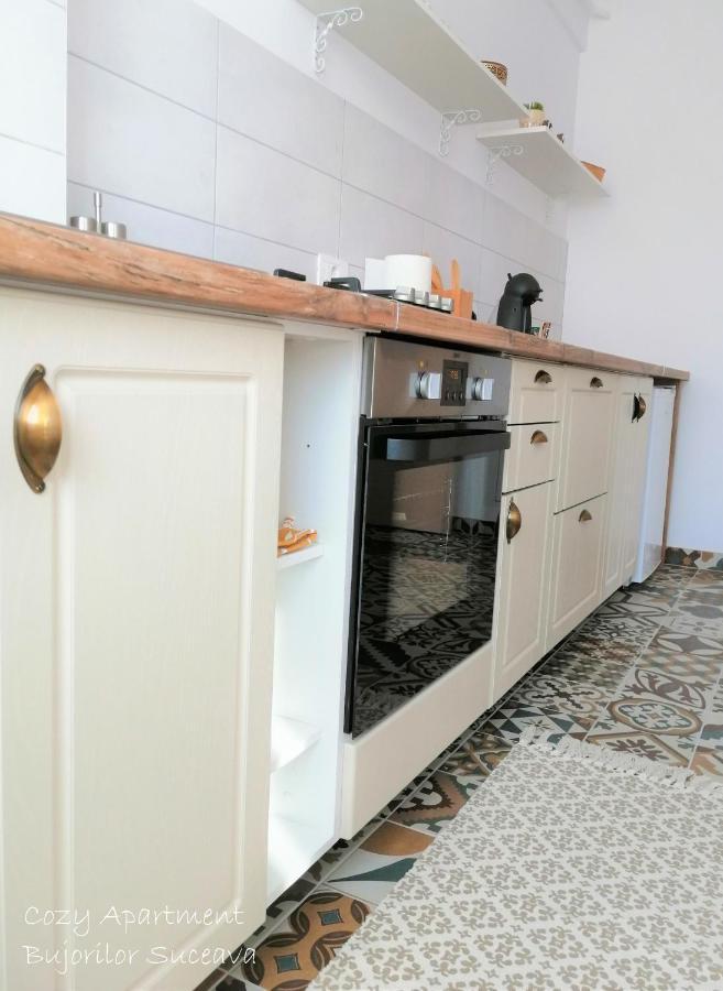 Cozy Apartment Bujorilor Sučava Exteriér fotografie