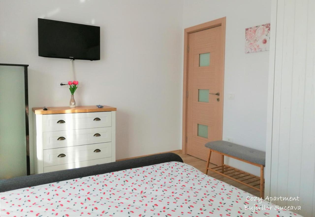 Cozy Apartment Bujorilor Sučava Exteriér fotografie