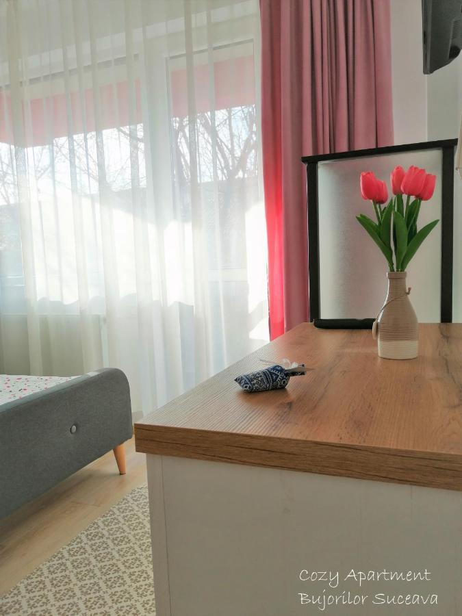 Cozy Apartment Bujorilor Sučava Exteriér fotografie
