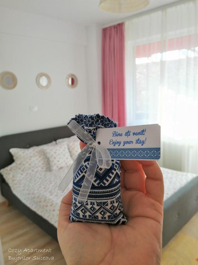 Cozy Apartment Bujorilor Sučava Exteriér fotografie