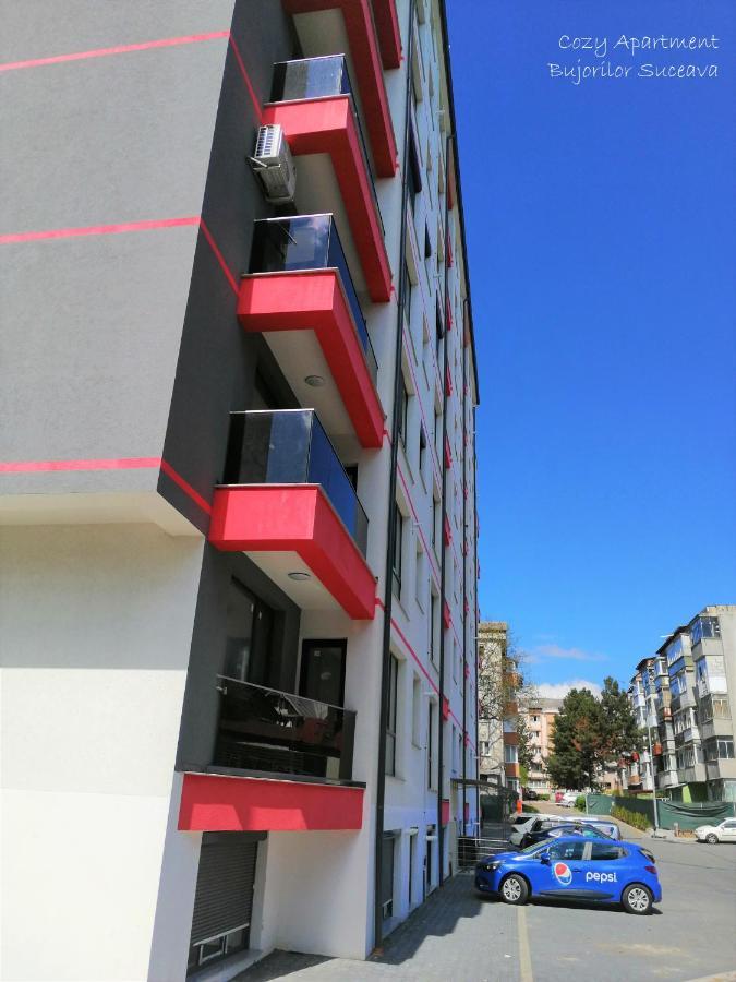 Cozy Apartment Bujorilor Sučava Exteriér fotografie