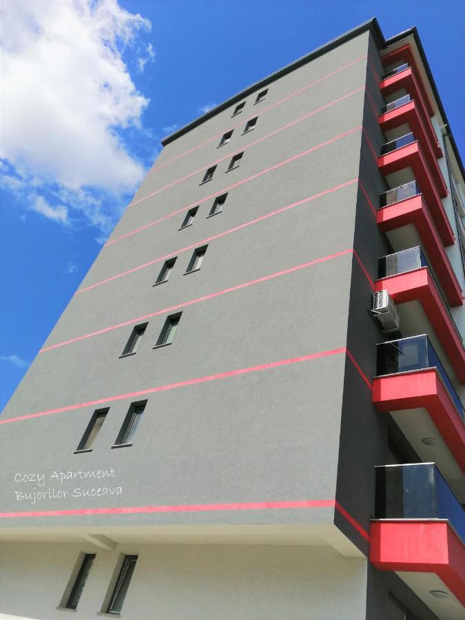 Cozy Apartment Bujorilor Sučava Exteriér fotografie