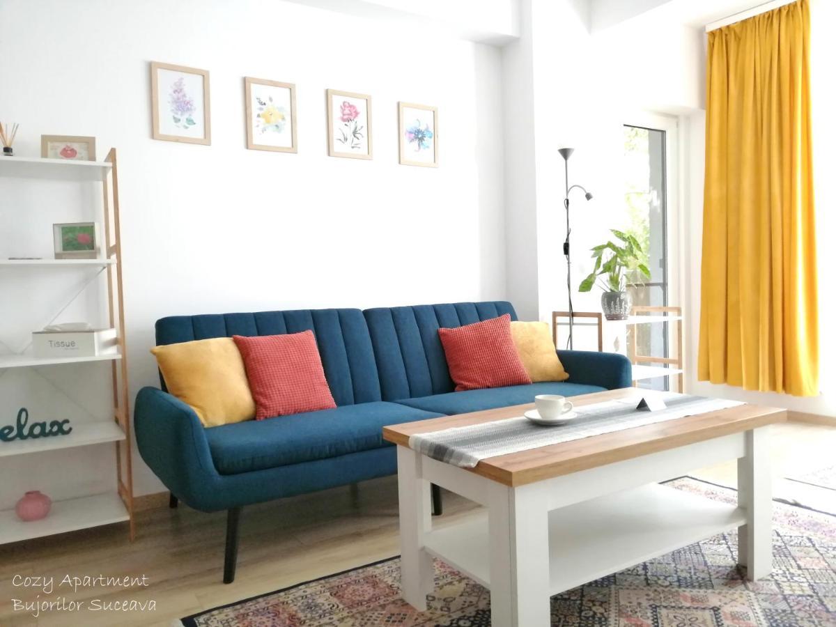 Cozy Apartment Bujorilor Sučava Exteriér fotografie