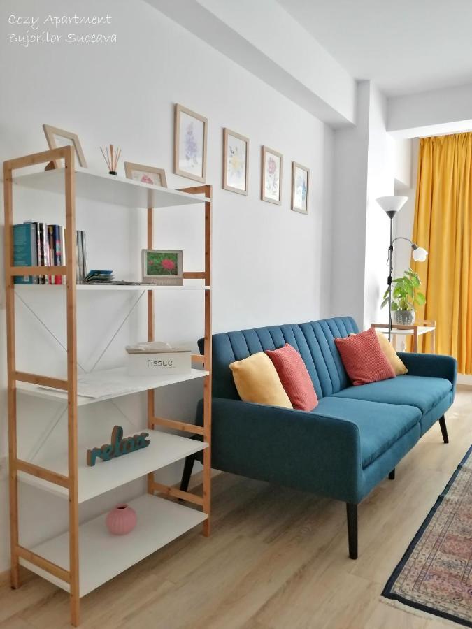 Cozy Apartment Bujorilor Sučava Exteriér fotografie